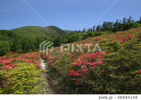 五葉山 五葉山 66694148