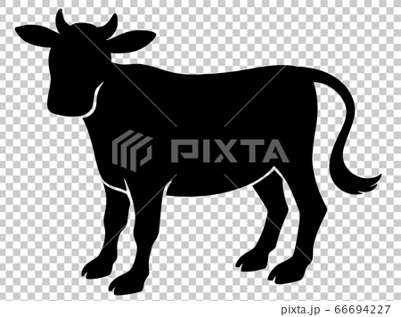 牛のシルエットイラストのイラスト素材 66694227 Pixta
