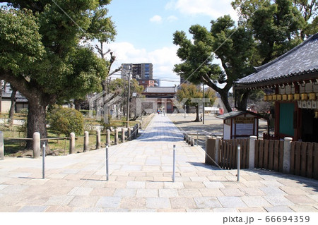大阪四天王寺 大阪四天王寺 66694359