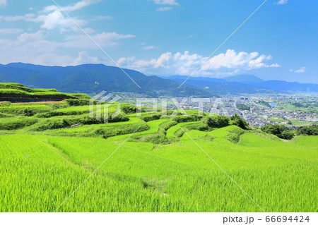 夏の姨捨の棚田 66694424