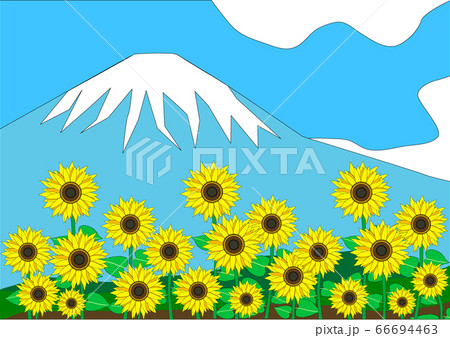 日本一の富士山と元気なヒマワリの花 66694463