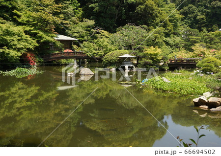 山口県 下関市 長府庭園の池泉回遊式庭園 66694502