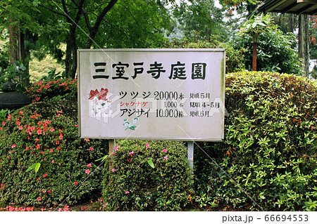 京都宇治　三室戸寺庭園の看板 66694553