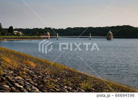 埼玉県　山口貯水池　狭山湖　狭山丘陵 66694596