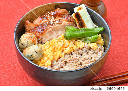 焼鳥丼、焼き鳥重、鶏肉3色丼、テリヤキ重。鶏挽肉そぼろ、玉子そぼろ、鶏もも肉照焼き、つくね、ネギ。 66694666