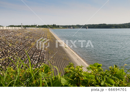 埼玉県 山口貯水池 狭山湖 狭山丘陵 埼玉県 山口貯水池 狭山湖 狭山丘陵 66694701