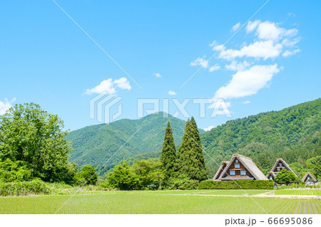 初夏の白川郷(昼) 初夏の白川郷(昼) 66695086