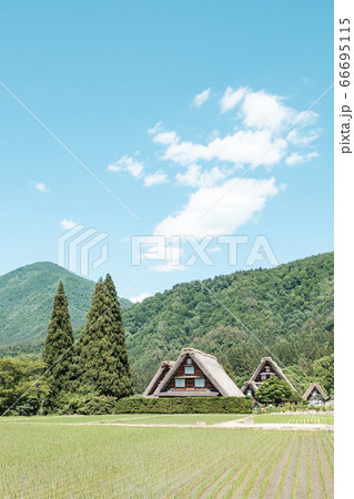 初夏の白川郷（昼） 66695115