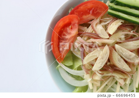 夏の野菜サラダ 66696455