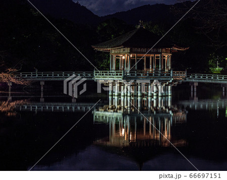 なら瑠璃絵 66697151