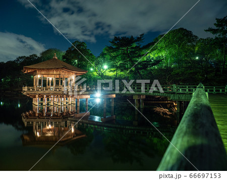 なら瑠璃絵 66697153