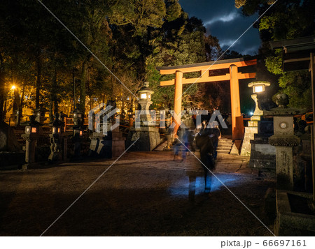 なら瑠璃絵 66697161