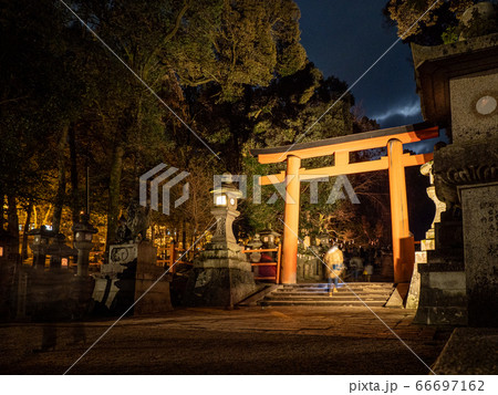 なら瑠璃絵 66697162