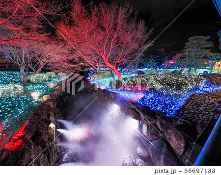 なら瑠璃絵 66697188