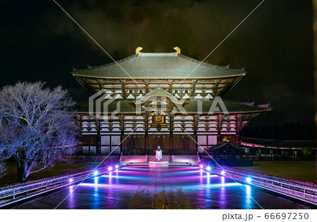 なら瑠璃絵 66697250