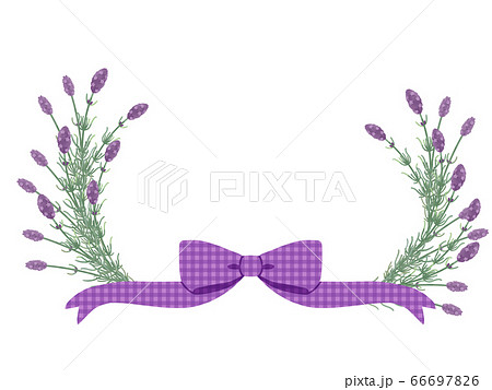 ラベンダーのフレームのイラスト素材