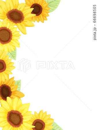 ひまわり 向日葵 背景 フレーム 素材のイラスト素材