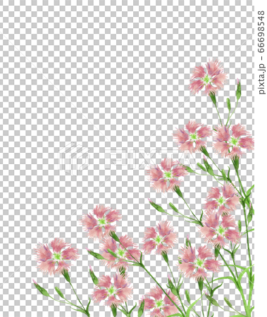 Kawarana Desiko水彩 66698548