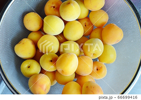 完熟南高梅　梅酒　紀州南高梅　完熟梅 66699416