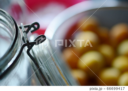 完熟南高梅　梅酒　紀州南高梅　完熟梅 66699417