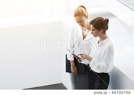 Two female confident leaders having conversation about their successful joint project 66700760