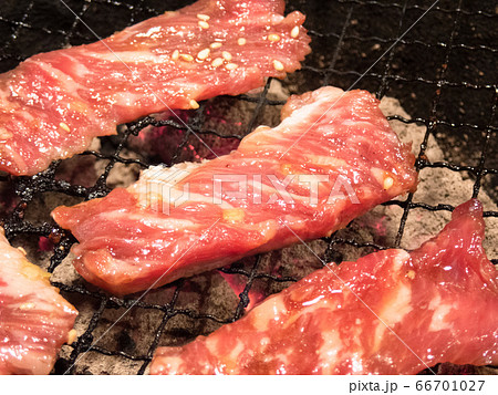 焼肉　カルビ 66701027