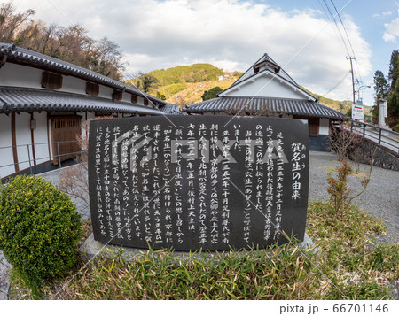 堀家住宅 賀名生皇居跡 しだれ桜 66701146