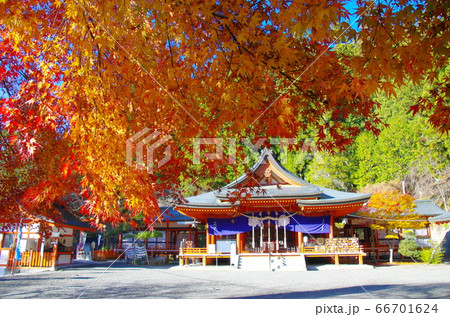 金櫻神社の紅葉（山梨県甲府市） 66701624