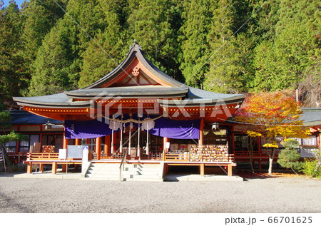 金櫻神社（山梨県甲府市） 66701625