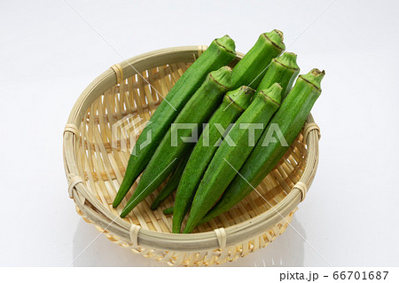 夏野菜おくら 66701687