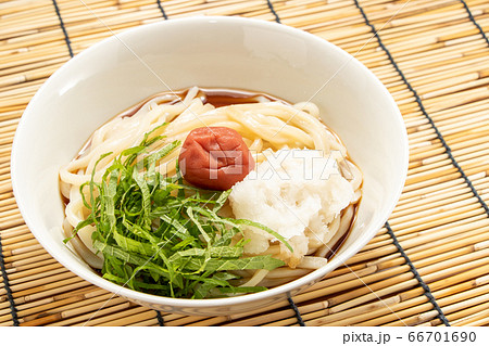 梅おろしぶっかけうどん(冷)。背景すだれで夏イメージ。 66701690
