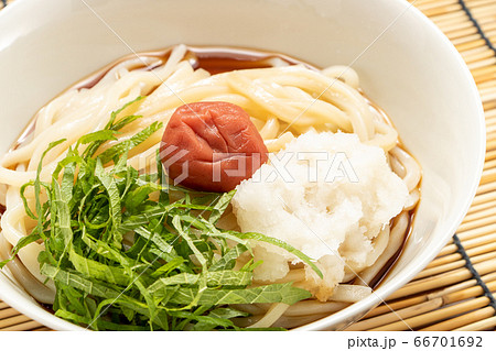 梅おろしぶっかけうどん(冷)。背景すだれで夏イメージ。 66701692