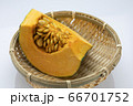 夏野菜カボチャかぼちゃ 66701752
