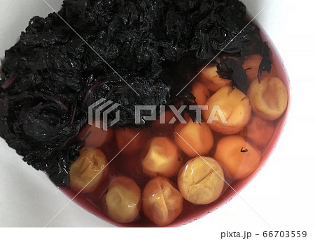 南高梅４L　梅干し 66703559