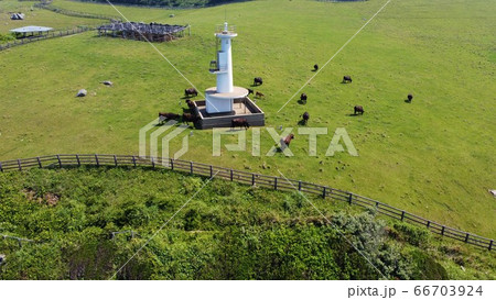 牧場と灯台 66703924