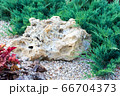 Landscaping with stone in the foreground and 66704373