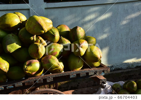バングラデシュのコックスバザール　ビーチ沿いの屋台　自転車の荷台に置かれた沢山のココナッツ 66704403