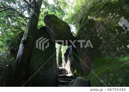 6月の梅雨の合間の晴れに筑波山への登山 6月の梅雨の合間の晴れに筑波山への登山 66705488