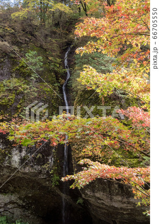 榛名神社の瓶子の滝(みすずのたき)と紅葉 榛名神社の瓶子の滝(みすずのたき)と紅葉 66705550