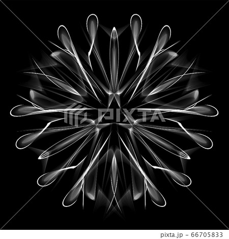 美しい三角形　20200621_004m モノクロ 66705833