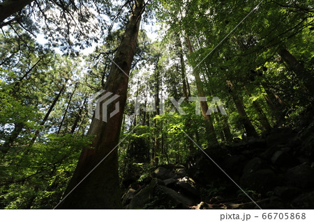 6月の梅雨の合間の晴れに筑波山への登山 6月の梅雨の合間の晴れに筑波山への登山 66705868