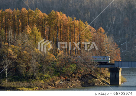 紅葉の中を行く根室本線 66705974