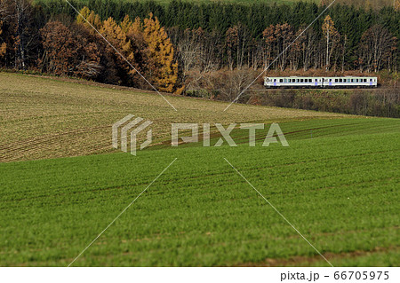 北海道美瑛の秋を行く富良野線 66705975