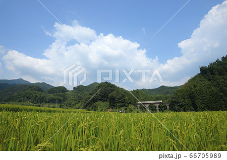 福岡県東峰村　里山の眼鏡橋の思い出となった夏風景 66705989