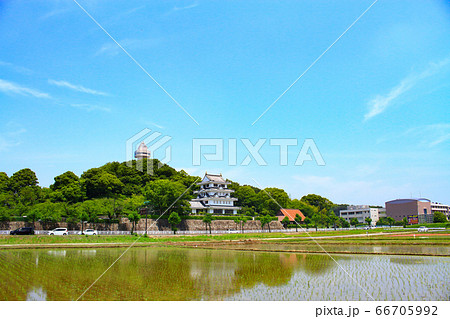 水田が広がる尾張旭市の風景 66705992