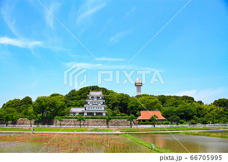 水田が広がる尾張旭市の風景 66705995