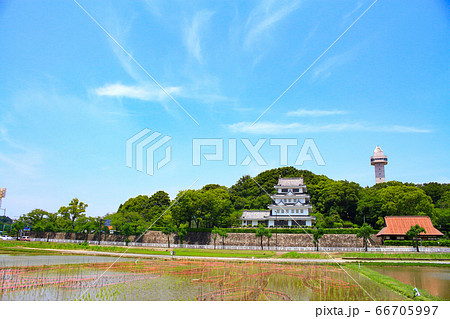 水田が広がる尾張旭市の風景 66705997