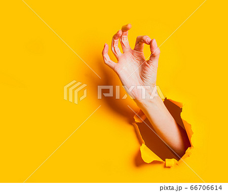 Hand making okay gesture through holes on yellow background. 66706614