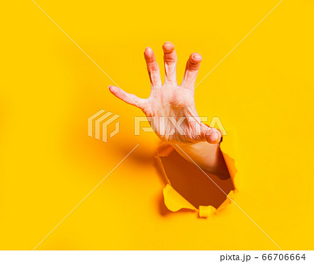 Female hand reaching through torn yellow paper sheet. Seasonal sale, shopping. Female hand reaching through torn yellow paper sheet. Seasonal sale, shopping. 66706664
