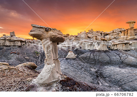 Bisti Badlands, New Mexico, USA 66706782